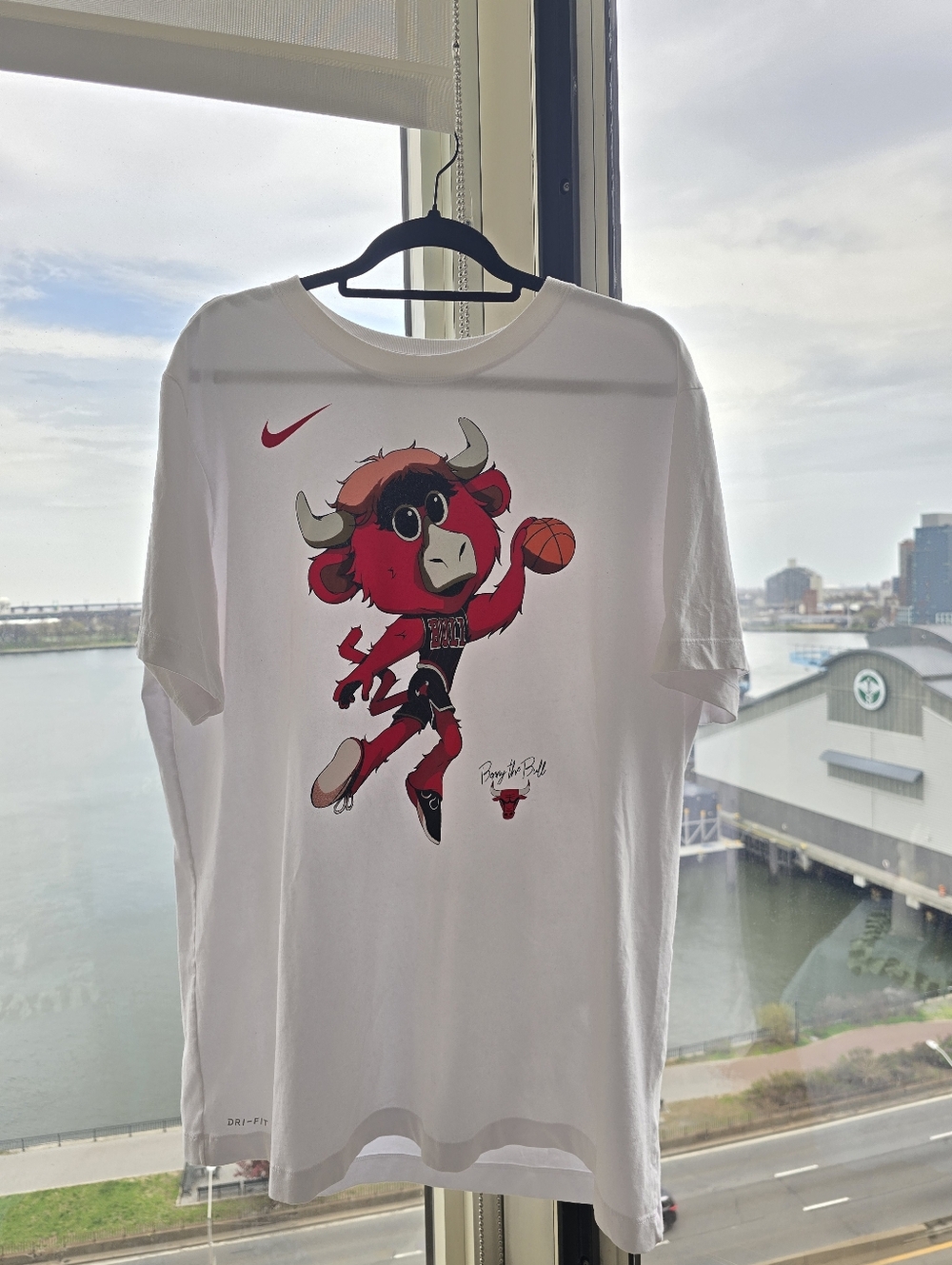 Nike Dry Fit Chicago Bulls Benny The Bull Rare T-shirt